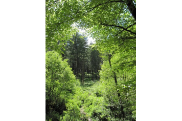 La forêt domaniale de Saint-Sever s'étend sur 1550 hectares labellisés 0% de produits phytosanotaires. Respirez : vous êtes arrivés. (Photo Noues de Sienne)